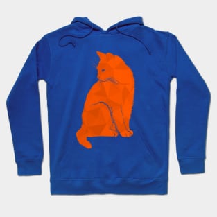 Orange Geometric Cat Hoodie